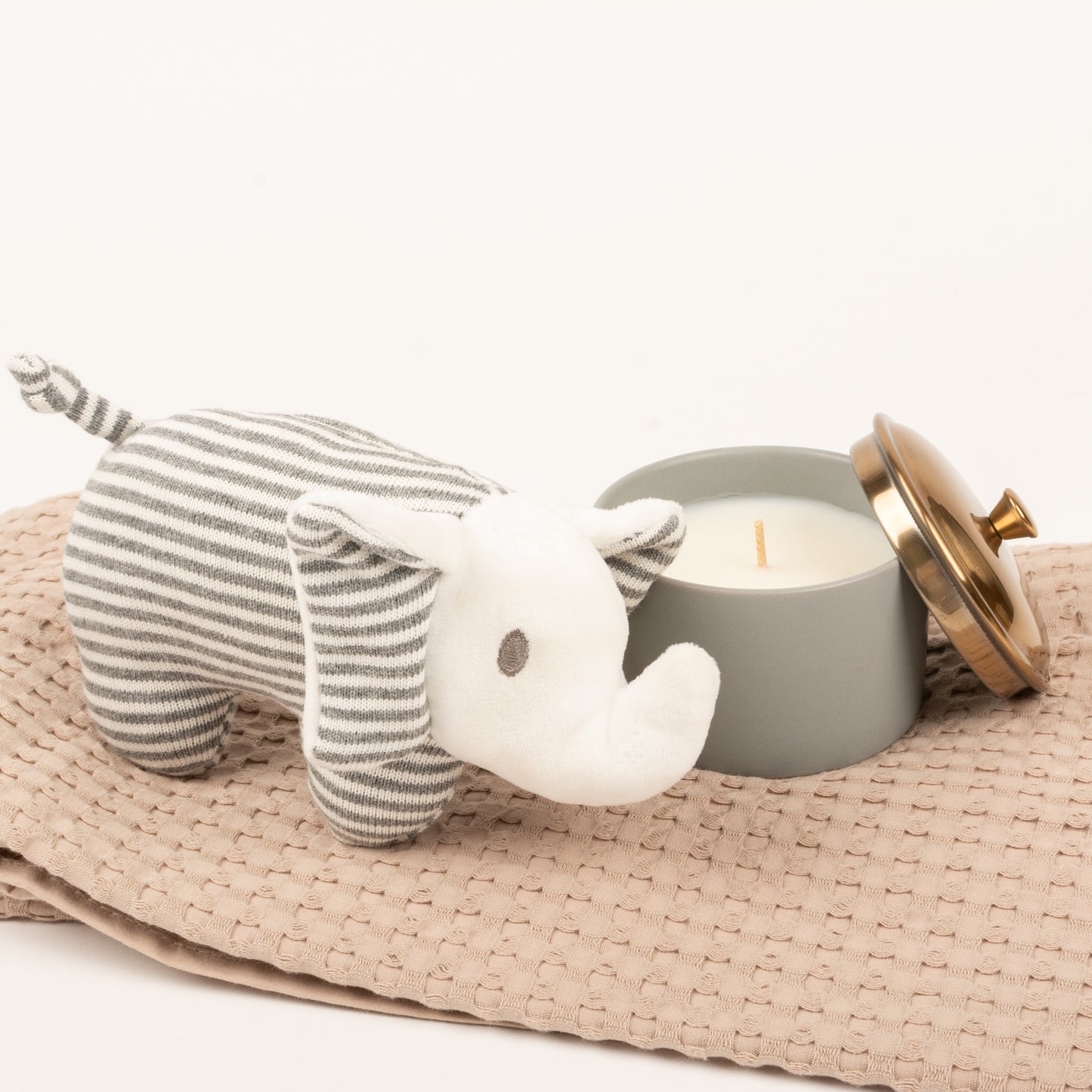 Jungle Baby - Gift Boxes NZ - Gifts of Distinction