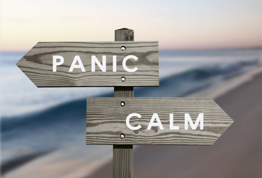 Blog with signs at beach indicating direction of panic or calm.  